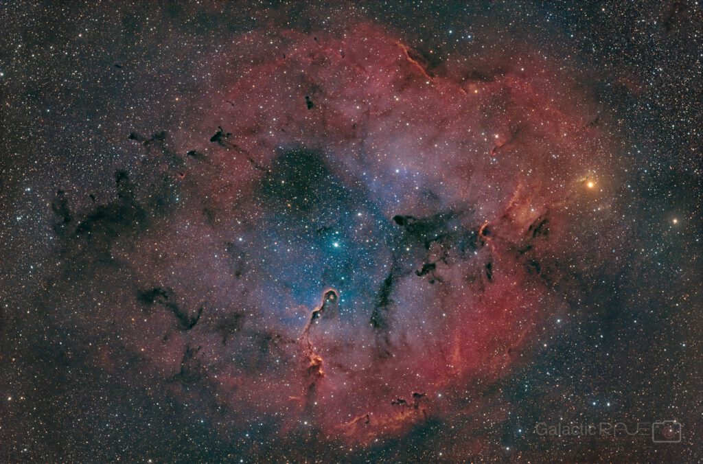 Elephant's trunk IC1396 - in HOORGB with Sii gilding