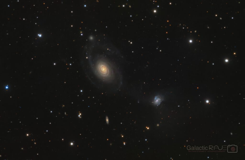 NGC2460 and friends - featuring a large, faint, tidally distorted disk