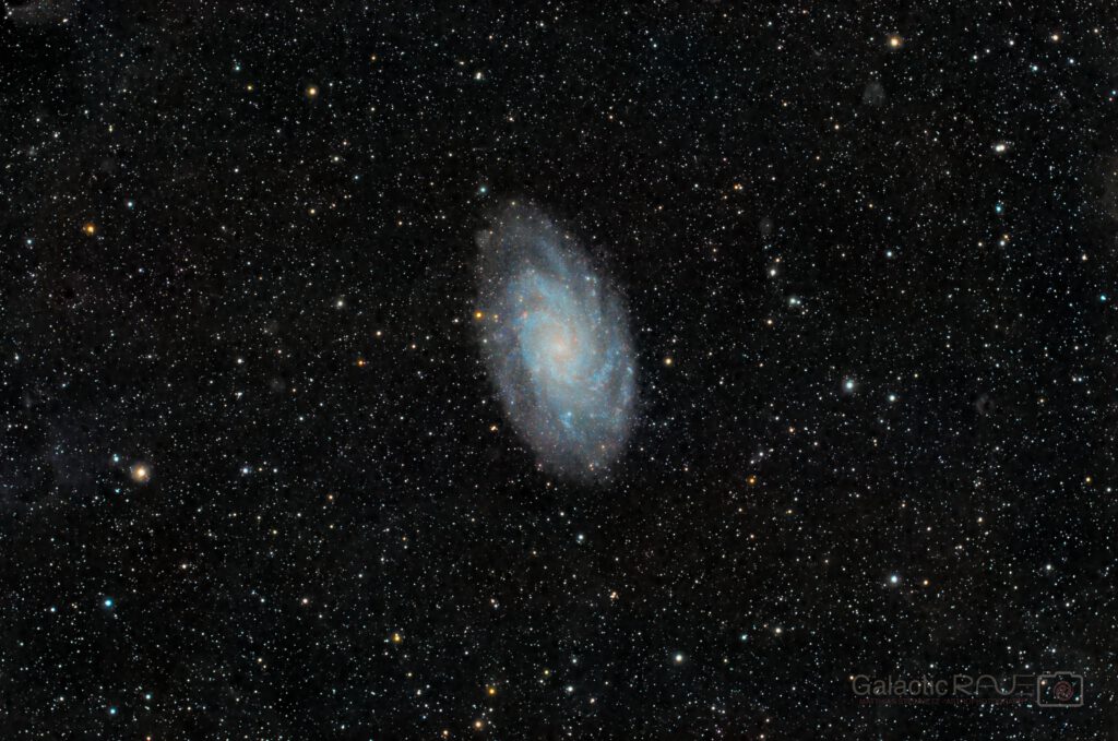 M33 in the Local Group