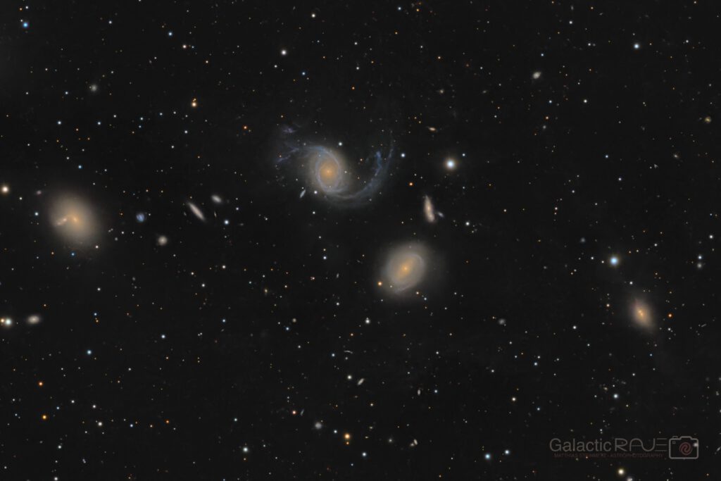 NGC974 and friends