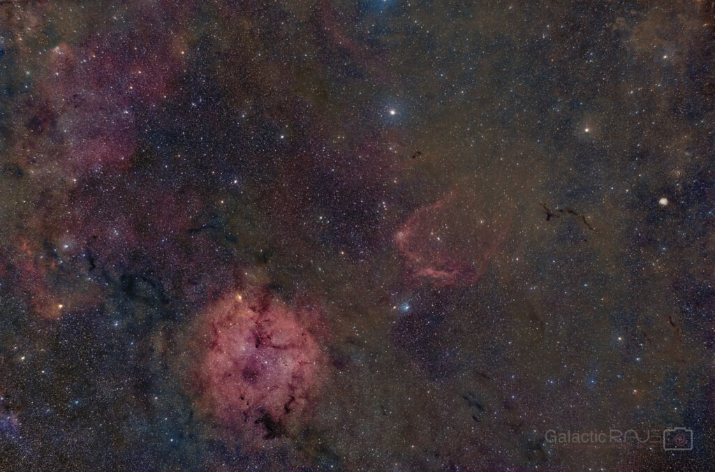 Cepheus wide field with the Samyang 135mm