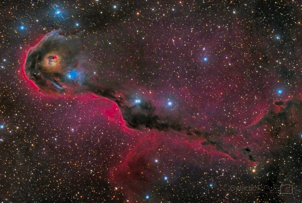 IC1396 close-up - the trunk of the elephant
