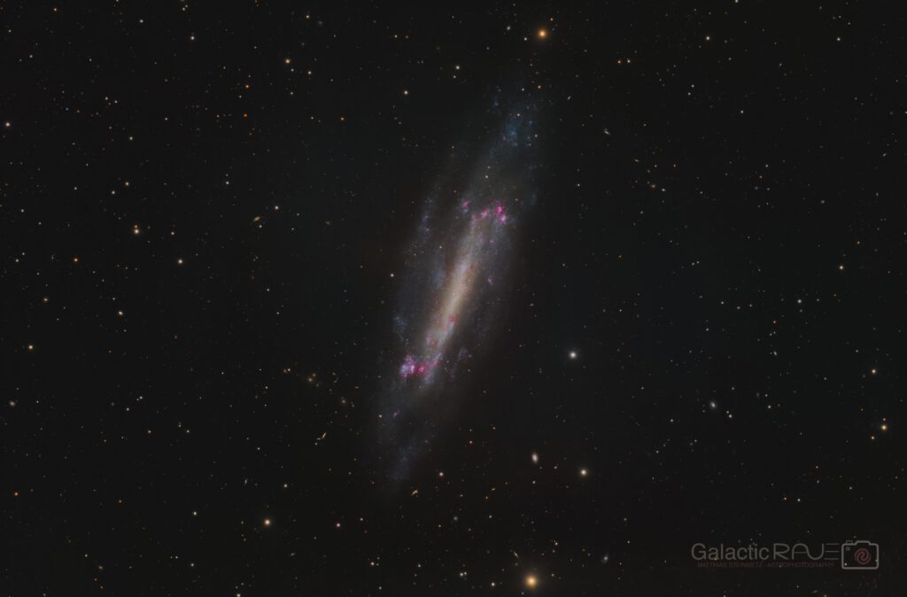 NGC 4236 in Draco