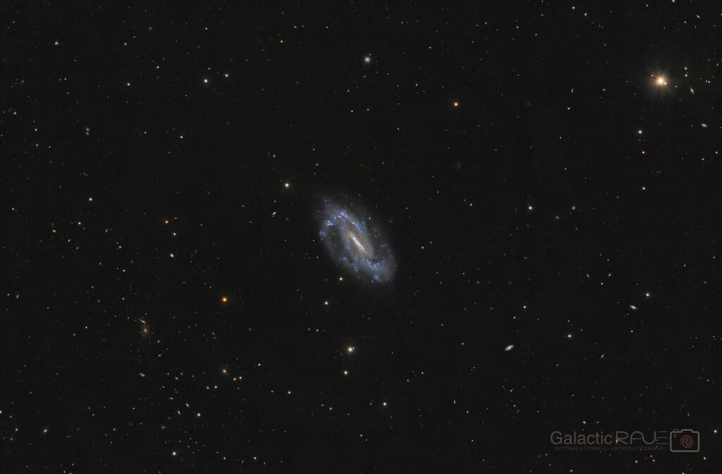 Cosmic contrasts - SBcd galaxy NGC 3319 and galaxy cluster Abell 1056