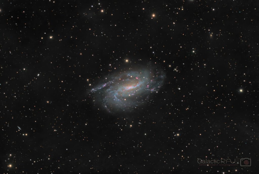 NGC925 in Triangulum