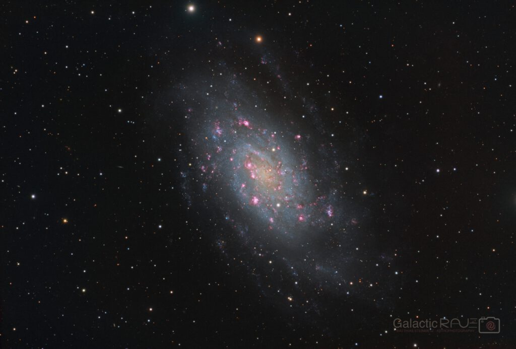NGC2403 in Camelopardalis
