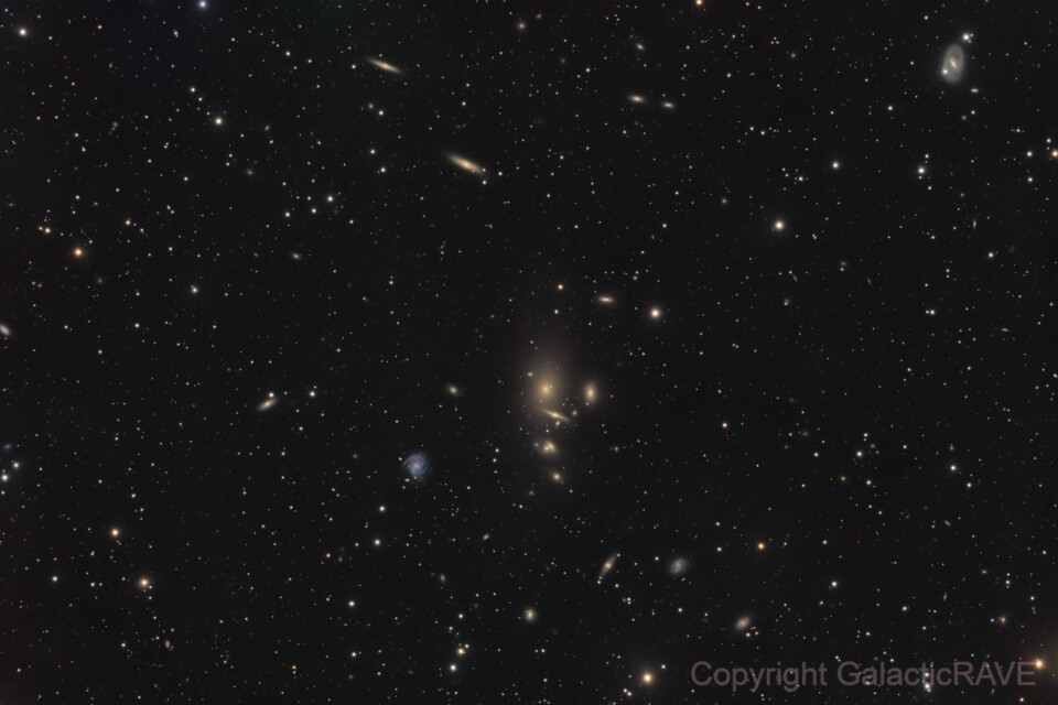 Galaxy cluster Abell 262