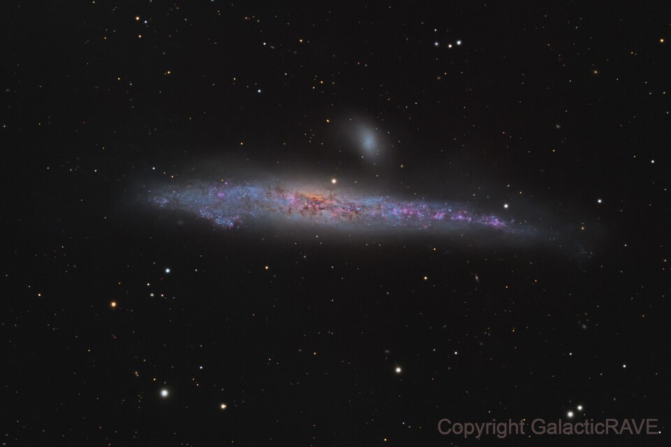 Arp281, a.k.a NGC 4631/4627 or the whale galaxy
