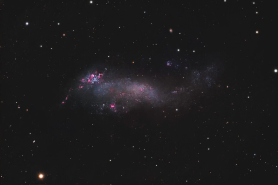 IC2574 - Coddington's nebula