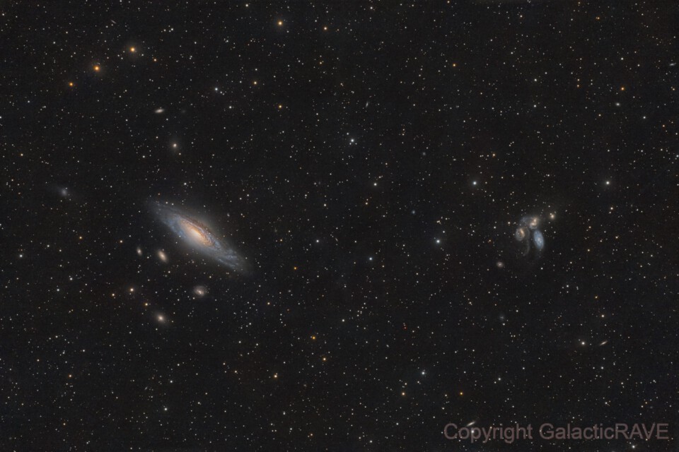 The Deer Lick Group and Stephan's Quintett