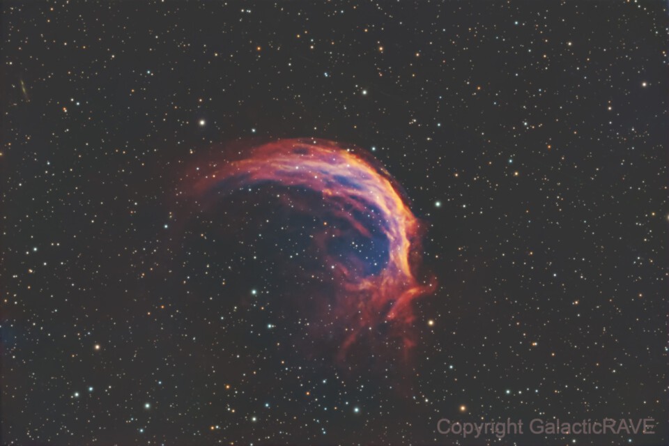 Shrimp nebula Sh2-188 as Sii gilded HOO