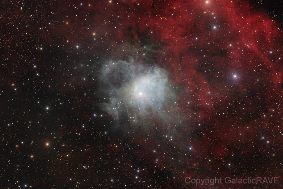 44 Cygni and the reflection nebula vdB 133