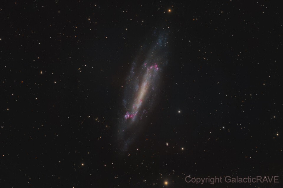 NGC4236 in the constellation Draco