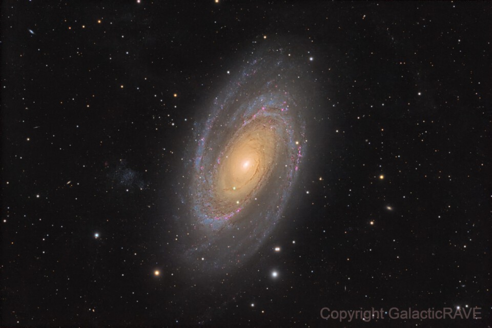 Bode's galaxy M81