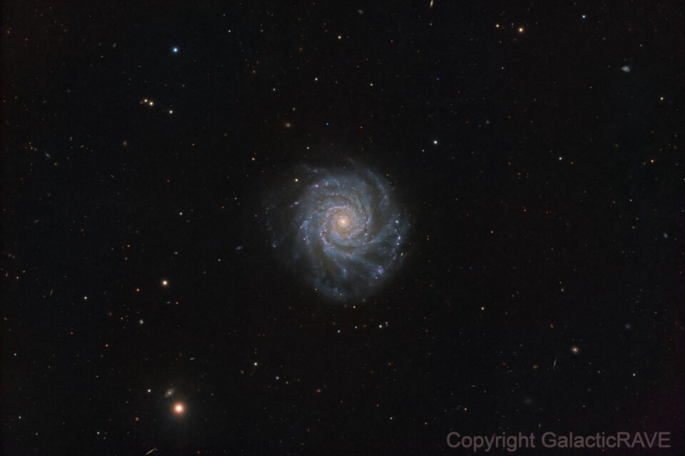 NGC3938 in Ursa Major